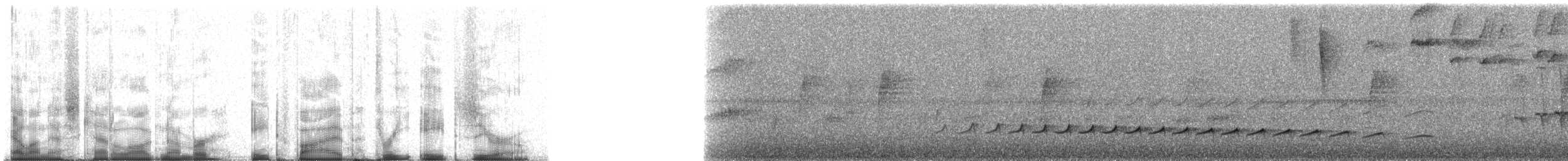 Red-billed Scythebill - ML85380