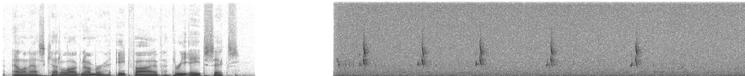 Many-colored Rush Tyrant - ML85386