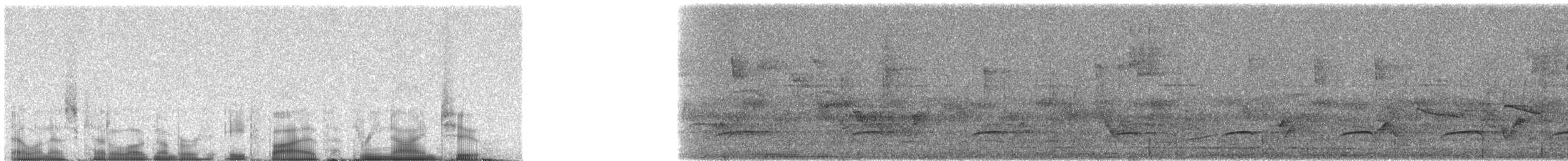 Ochraceous Attila - ML85392