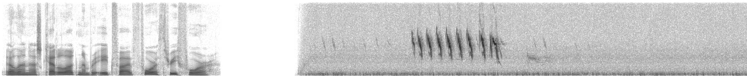 Gray Warbler-Finch - ML85434