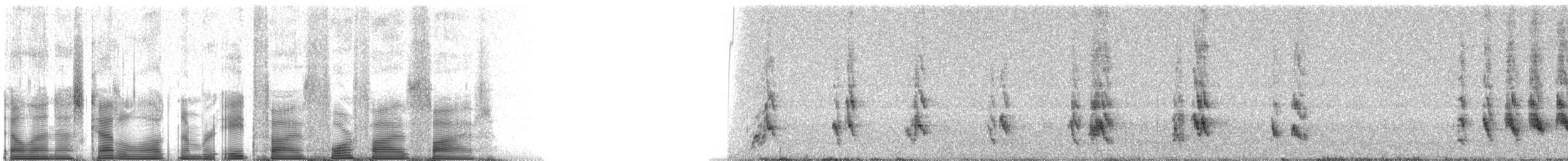 Sinsonte de Floreana - ML85455