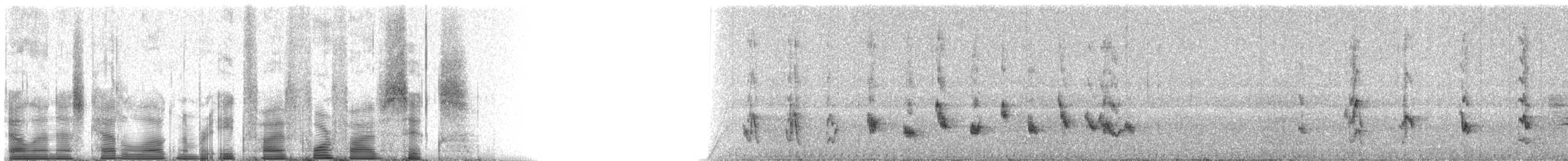 Sinsonte de Floreana - ML85456