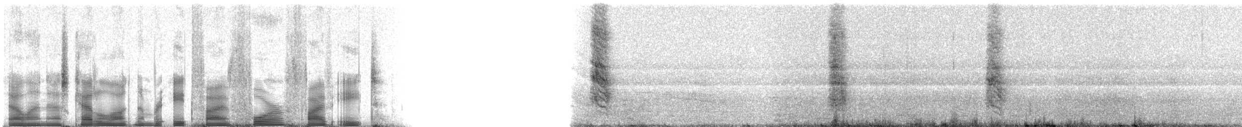 Sinsonte de Floreana - ML85458