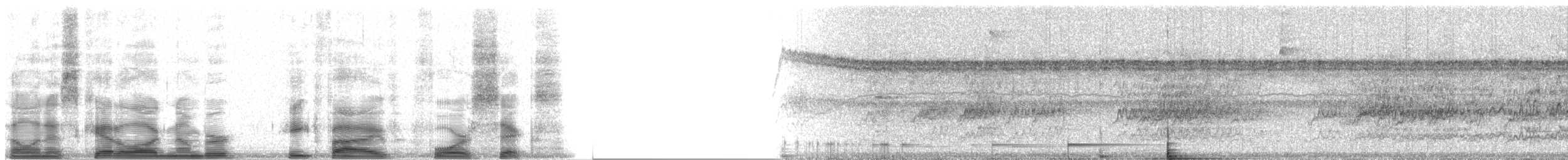 Папуга строкатий - ML8546