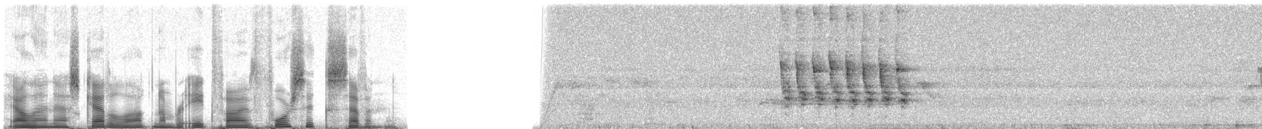Большой дарвинов вьюрок - ML85467