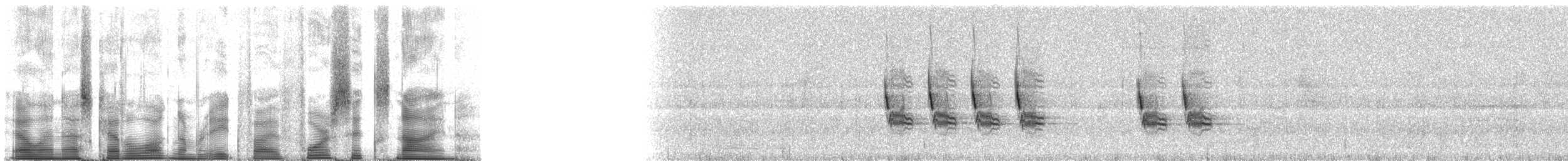 Большой дарвинов вьюрок - ML85469
