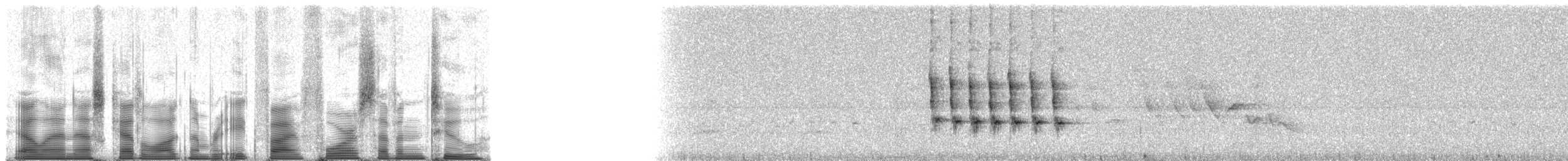 Большой дарвинов вьюрок - ML85472