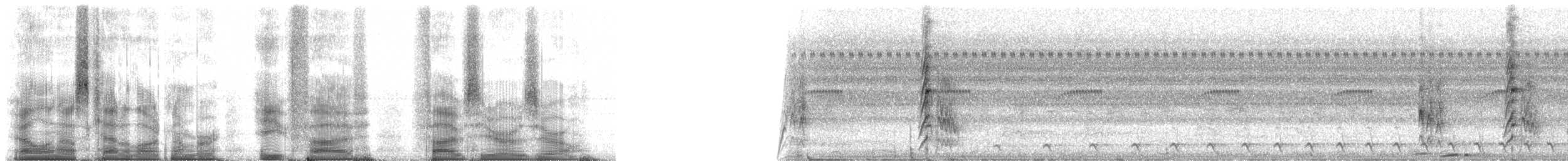 Yellow-rumped Cacique (Amazonian) - ML85500