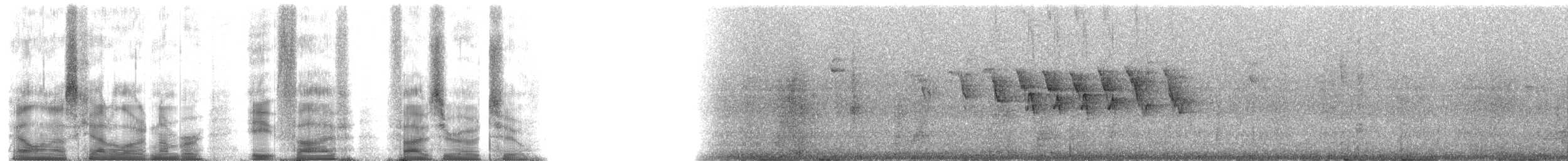 Slate-throated Redstart - ML85502