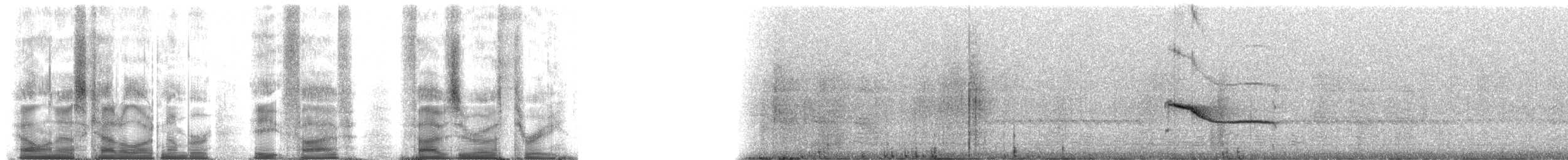 elaenia sp. (genus Elaenia) - ML85503