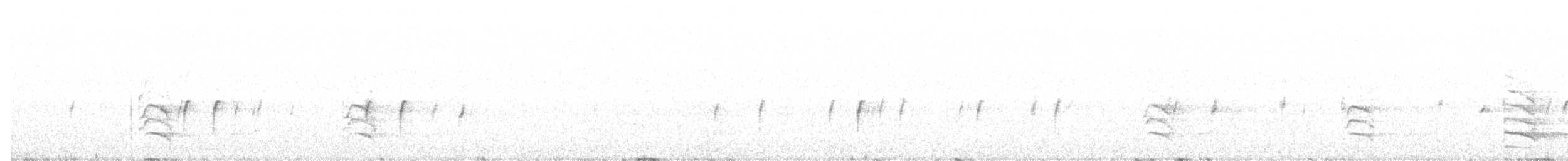 "Шишкар ялиновий (Sitka Spruce, або тип 10)" - ML85505801