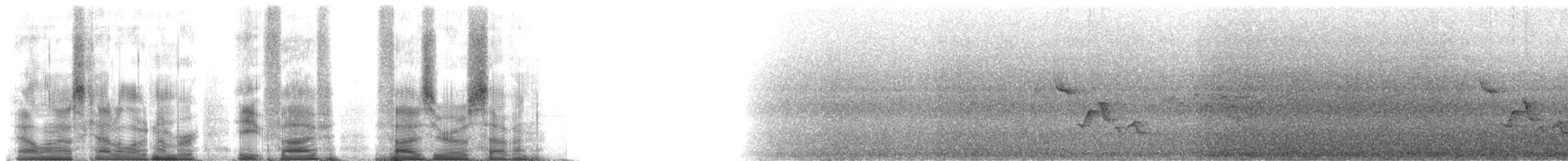 Gray-breasted Wood-Wren (Andean) - ML85507