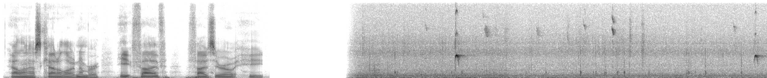 Pale-edged Flycatcher - ML85508