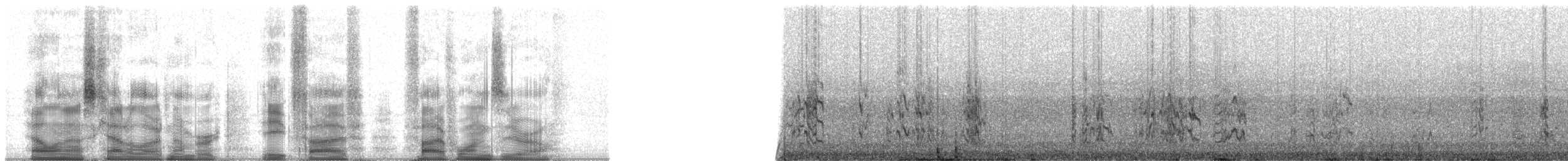 Scaly-naped Amazon - ML85510