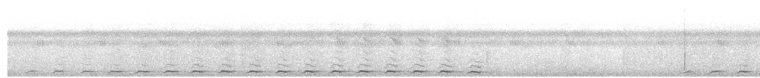Black-tailed Trogon - ML85511901