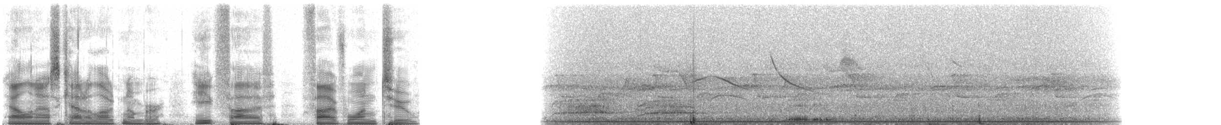 Yellow-tailed Woolly Monkey - ML85512