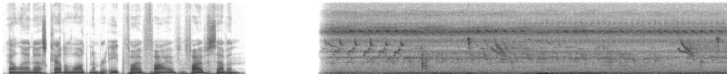 Flussfeinsänger - ML85557