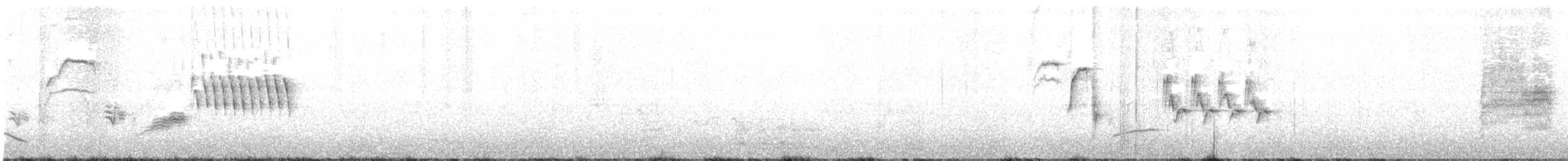 Длиннохвостый крапивник - ML85558181