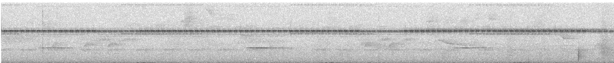 Stripe-throated Wren - ML85561561