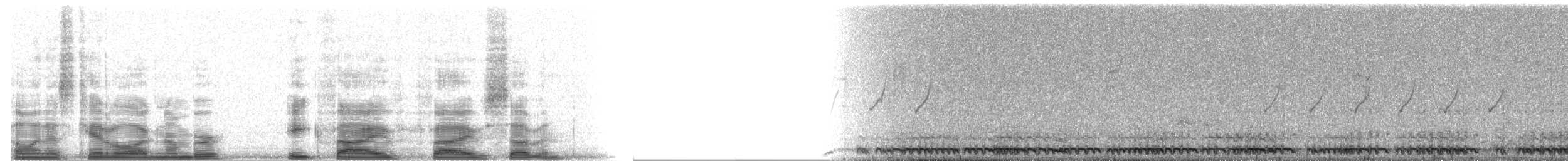 Гологлазый турако - ML8557