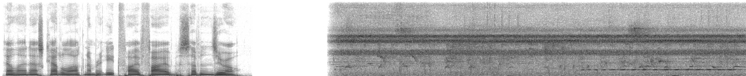 Lacivert Tepeli Monark - ML85570