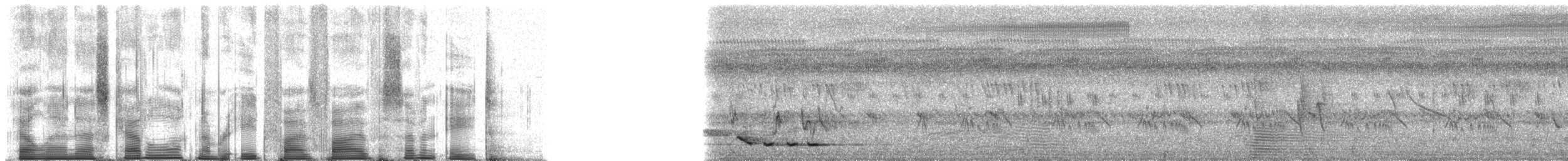 Gelbkehl-Tropfenvogel - ML85578