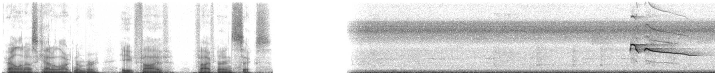 Mississippi Kite - ML85596