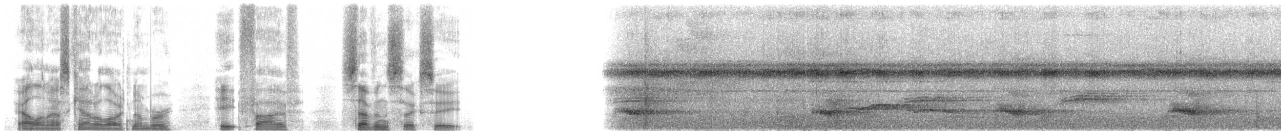 Channel-billed Toucan (Channel-billed) - ML85768