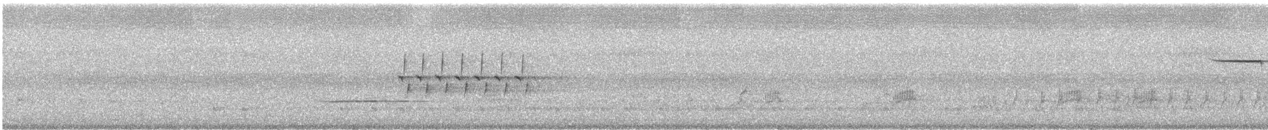 Bachman's Sparrow - ML85795961