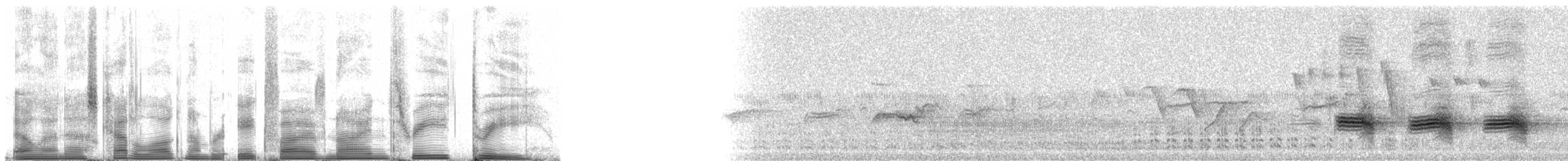 Большой галапагосский вьюрок - ML85933