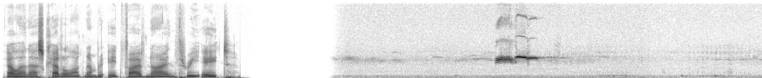 Большой галапагосский вьюрок - ML85938