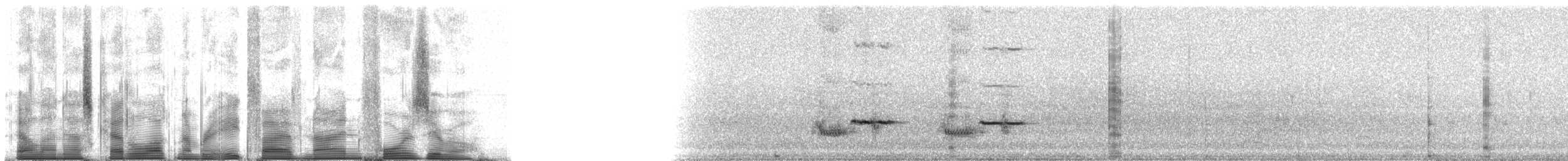 Большой галапагосский вьюрок - ML85940