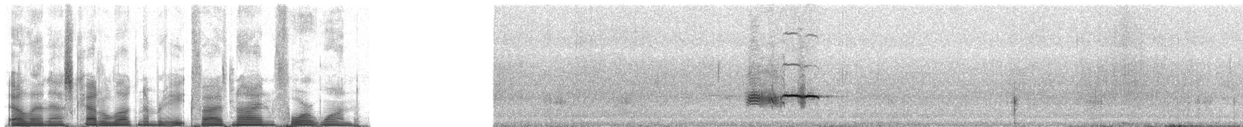 Большой галапагосский вьюрок - ML85941