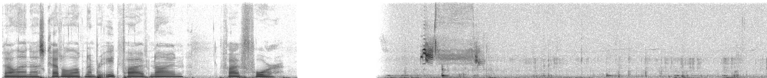 Хеновесский галапагосский вьюрок - ML85954