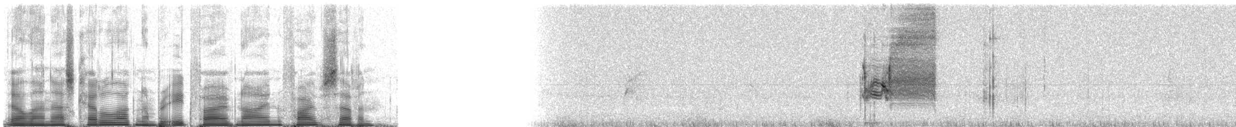 Хеновесский галапагосский вьюрок - ML85957