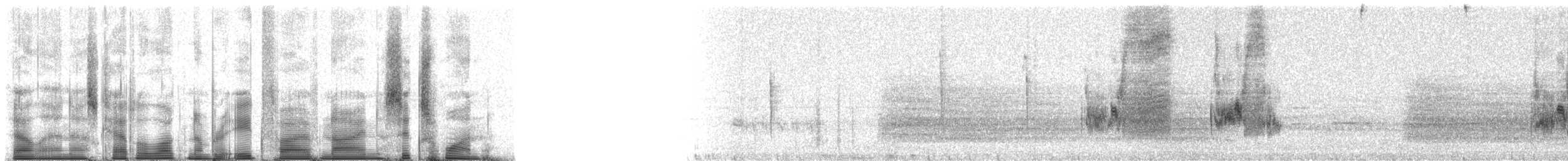 Хеновесский галапагосский вьюрок - ML85961