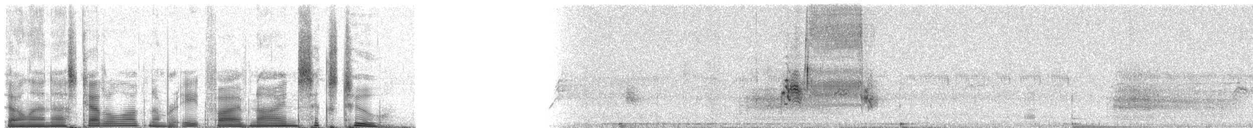 Хеновесский галапагосский вьюрок - ML85962