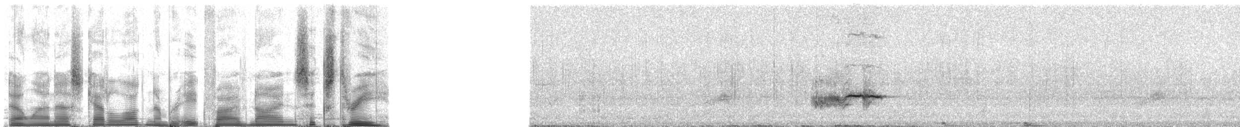 Большой галапагосский вьюрок - ML85963