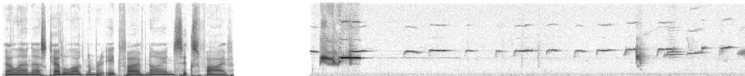 Большой галапагосский вьюрок - ML85965