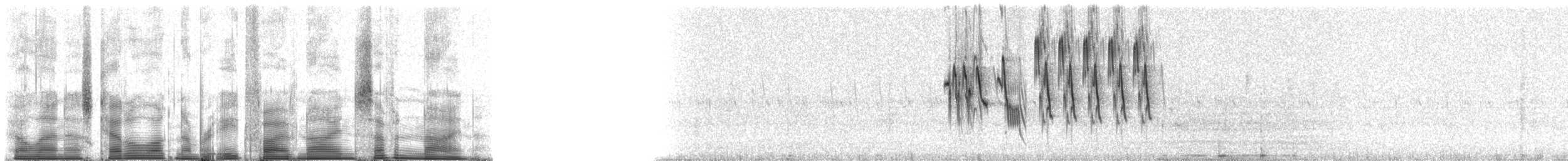 Gray Warbler-Finch - ML85979
