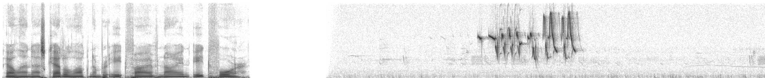 Gray Warbler-Finch - ML85984