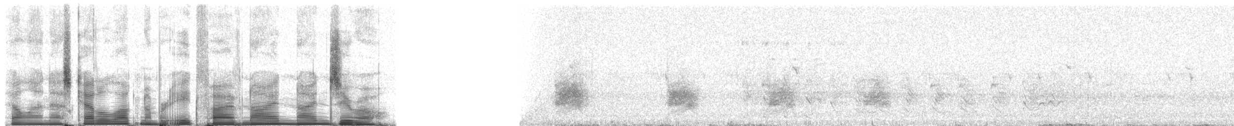 Gray Warbler-Finch - ML85990