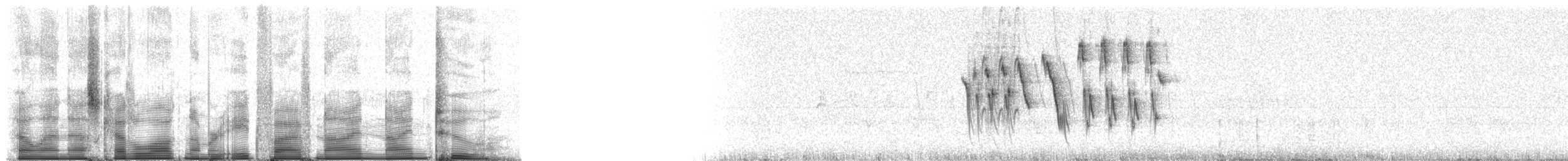Gray Warbler-Finch - ML85992