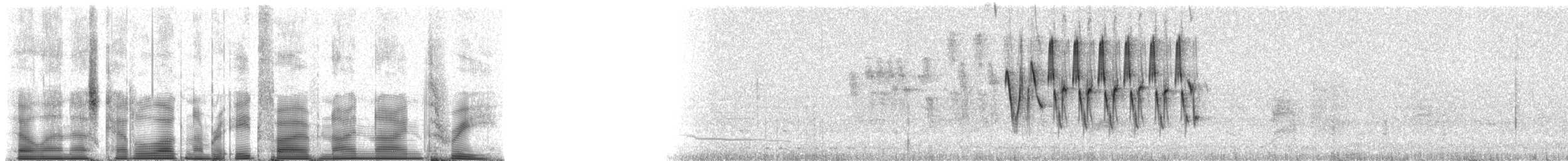 Gray Warbler-Finch - ML85993