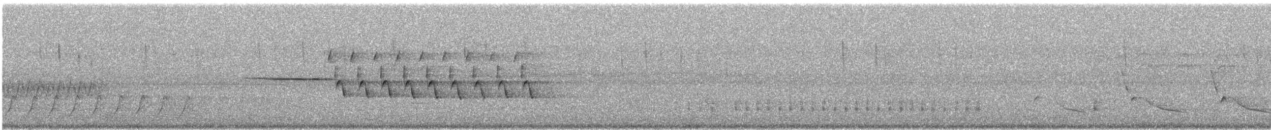 Bachman's Sparrow - ML86008531