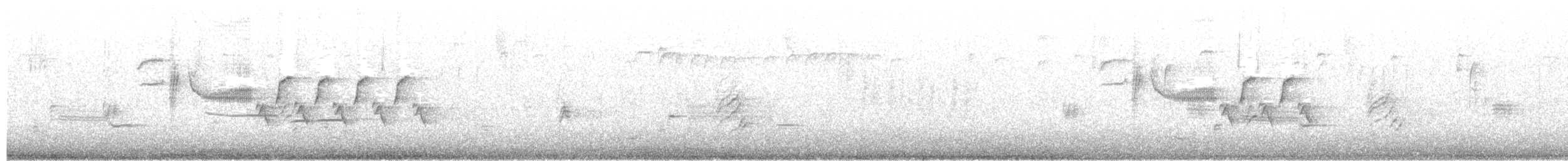 Troglodyte de Bewick - ML86040911