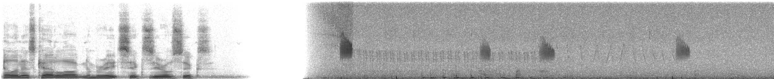 Североамериканская ласточка [группа serripennis] - ML8606