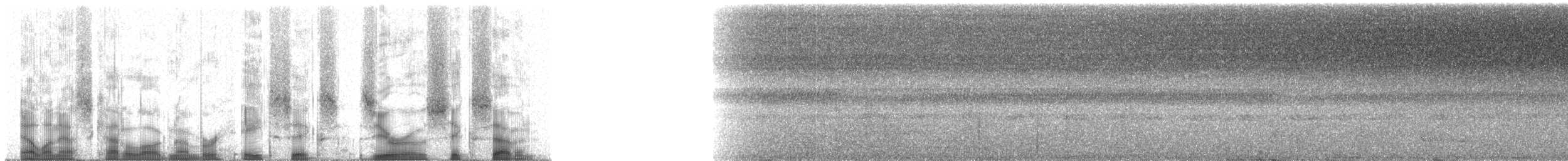 Tamatia brun - ML86067