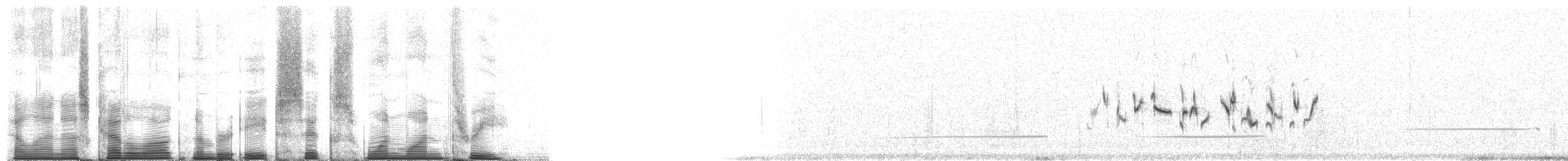 Fauvette du désert - ML86113