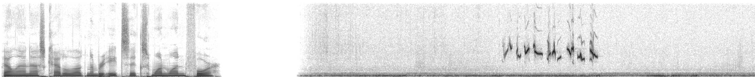 Fauvette du désert - ML86114